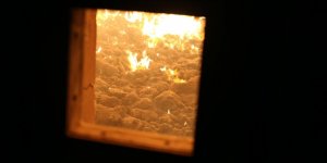 Türkiye'nin 74 İlinde Biyokütle ve Atık Isıdan Elektrik Üretiliyor