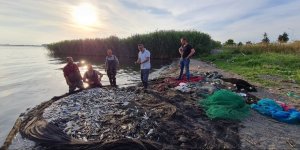 İznik Gölü'nde Av Sezonu Balık Bolluğuyla Başladı
