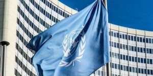 BM Biyolojik Çeşitliliğin Korunması Anlaşmasını Kabul Etti