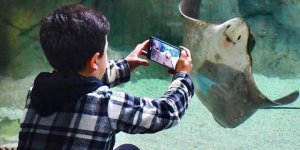 Trabzon Akvaryum'a Yoğun İlgi