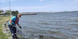 Küçükçekmece Gölü kahverengiye büründü