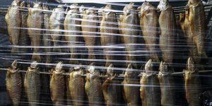Tütsülenen Alabalıklar Üreticisine Daha Fazla Kazandırıyor