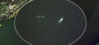 Göl canavarı kütükten ibaret