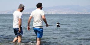 Sağlık Bakanlığınca İzmir'deki Yüzme Alanlarına Tam Not