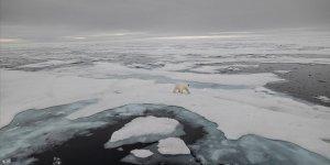 Kutup Seferleri Bilimsel Atılımın Bir Ayağı Olacak