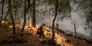 İklim Değişikliği Türkiye'de Orman Yangını Riskini Artırıyor