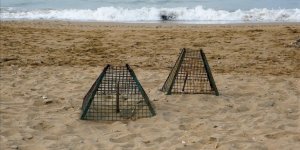 Deniz Kaplumbağaları İçin Yapılan Yuva Sayısı 2 Bin 551'e Ulaştı