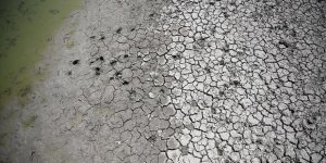 Avlan Gölü'nde Suların Çekildiği Bölüm Otlak Haline Geldi