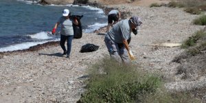 Kum Zambağı Farkındalık Etkinliği Yapıldı