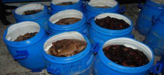 Sahil Güvenlik'ten 'kanunsuzlara' 46 bin liralık ceza