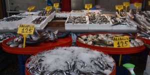 Trabzon'da Balık Fiyatları Arttı