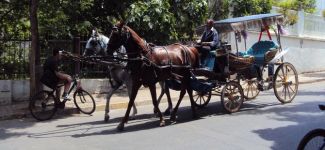 Prens Adaları’nda fayton esareti