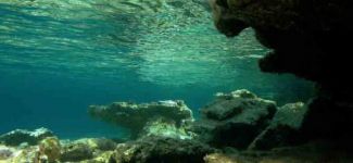 Parion'un sualtı hazineleri gün ışığına kavuşacak