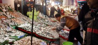 Balık fiyatlarında iyi haber