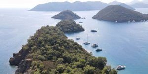 Orman Yangınlarının Akdeniz'deki Ekosisteme Etkileri Araştırılıyor