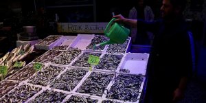 Trabzon'da Hamsinin Kilogramı 50 Liradan Satılıyor