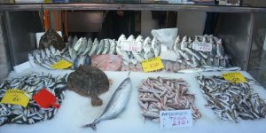 Düzce'de Balıkçılar Palamut Sezonunu Kapattı