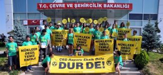 Akkuyu için verilen ÇED onayını yargıya taşınıyor