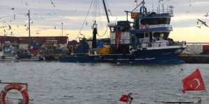 Tekirdağlı Balıkçıların Yüzünü Kolyoz Bolluğu Güldürüyor