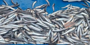 Fırtına Tekirdağ’da Hamsi Fiyatlarını Yükseltti