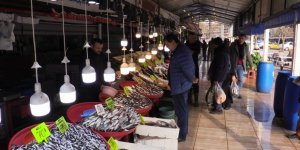 Bandırma’daki Balık Halinde Hamsi ve İstavrit Bolluğu