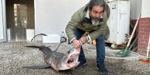 Mako Köpek Balığı Karaya Canlı Vurdu