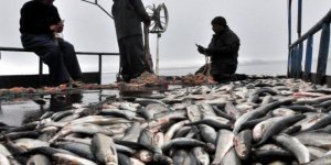 Kaçak Avlanılan 3 Ton Balık Gaziosmanpaşalı Vatandaşlara Dağıtıldı