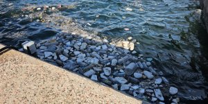 Bandırma'da Lodos Etkili Oldu