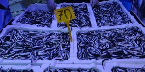 Hamsi Avı Düşüşe Geçti, Fiyatı İkiye Katlandı