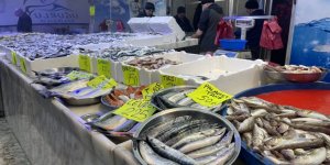 Tezgahlarda Balık Çeşitliliği Arttı, Hamsi Azaldı