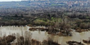 Basra Körfezi’ne Dökülen Dicle Nehri’nde Hayat Tehdit Altında