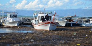 Gömeç’te Su Baskınlarının Yaraları Sarılıyor
