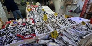 Havalar Soğudu, Balığa İlgi Arttı