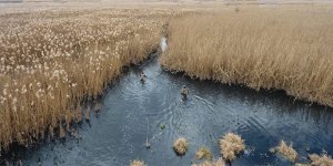 Göllerde Kaçak Avcılıkla Mücadele Sürüyor