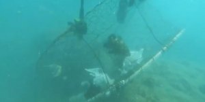 Doğa Katliamından Kurtulan Balıklar Doğal Yaşam Alanlarına Bırakıldı