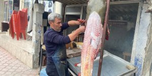Osmaniyeli Balıkçıya 37 Bin TL'lik Yayın Balığı Piyangosu