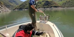 Balık Avcılığında Kriterlere Uymayan 54 İşletmeye 464 Bin TL Para Ceza