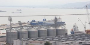 Hayvansal Ürünler, Türkiye'ye Döviz Olarak Geri Döndü