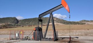 TPAO işletme ruhsatı için başvurdu