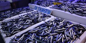 Hamsiye Talep Azaldı