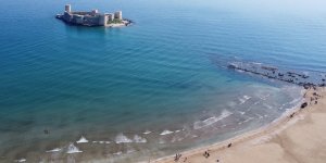 Zehirli Sakın Dokunmayın: Denizanaları Sahilden Toplanıyor