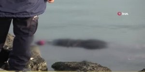 Samsun'da Yaşlı Kadın Denizde Ölü Bulundu