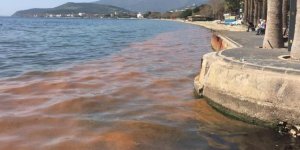 Marmara Denizi Alarm Veriyor