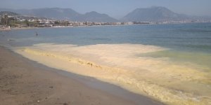 Antalya'da Deniz Kıyılarında Tedirgin Eden Görüntüye Uzmanından Açıklama