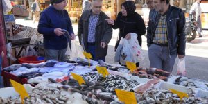 Balıkçılar Sezondan Memnun