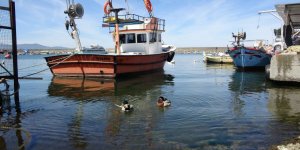 Kıyı Balıkçılığı Yapanların Sayısında Azalış Tedirgin Ediyor