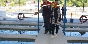 Aydın'da 2023 Yılında Balık İhracatından 230 Milyon Dolar Gelir Elde Edildi