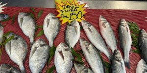 Avlanma Yasağı Olsa Da Tezgahlar Balık Çeşitleriyle Dolu