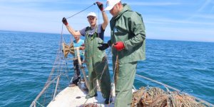 Kaçak Kalkan Avcılarına Yakın Takip