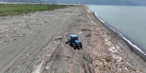 Deniz Kaplumbağaların Üreme Merkezinde Hummalı Temizlik